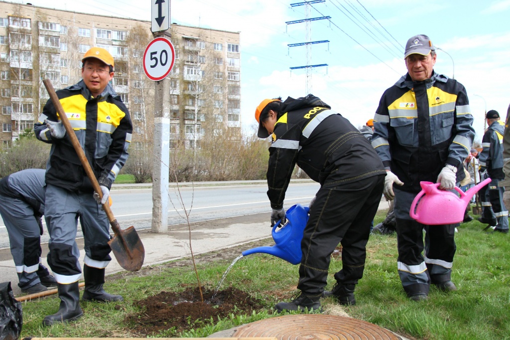 ������� ��������CAMC8142.jpg